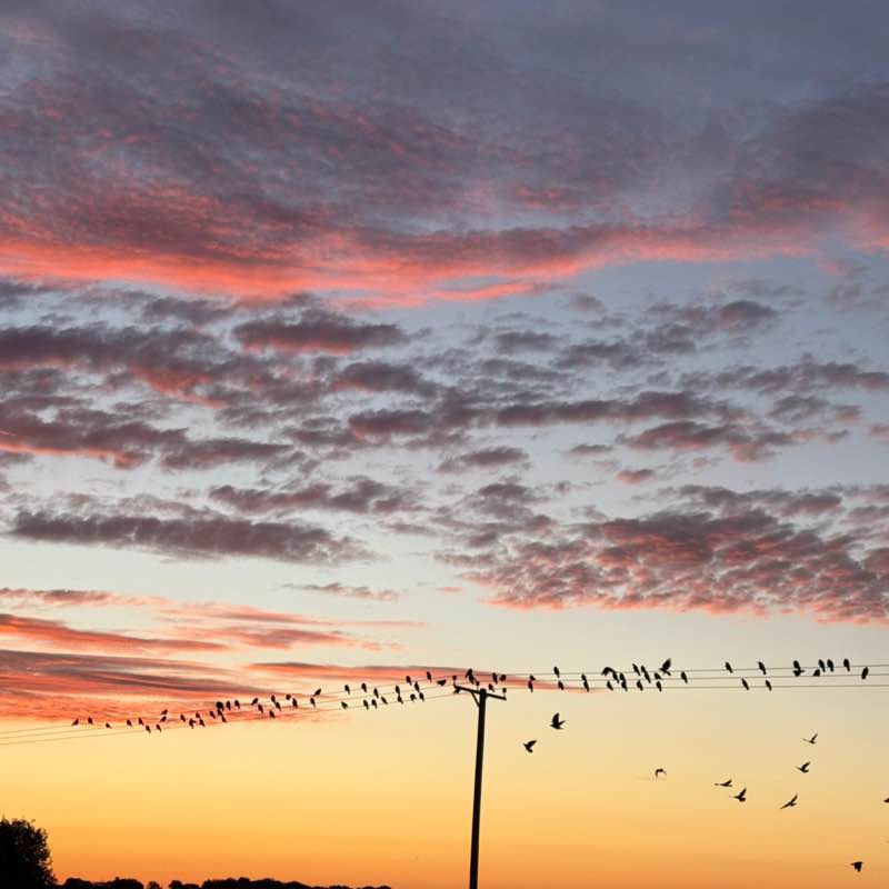 Anna Valsamaki post 1