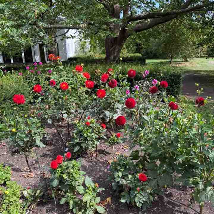 Anna Valsamaki post 1