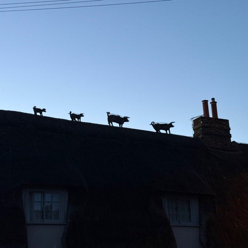 Anna Valsamaki post 1