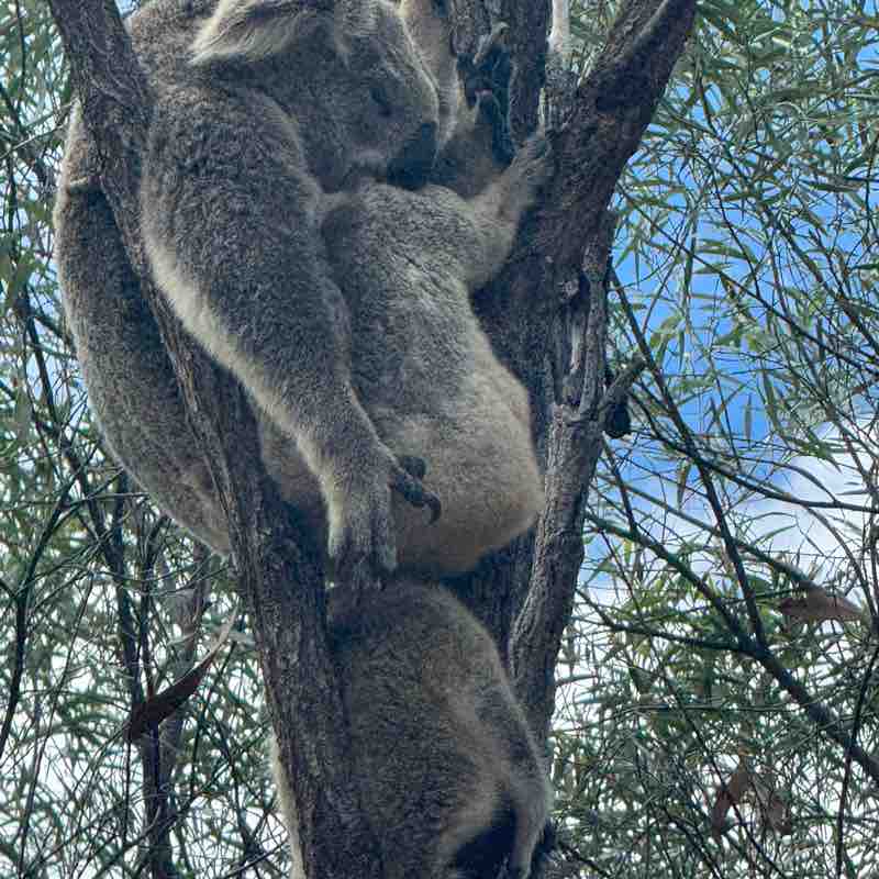 İstanbul 🌺 Burç post image