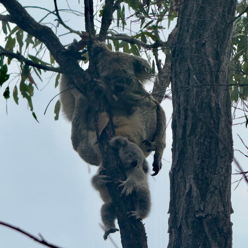 İstanbul 🌺 Burç post image