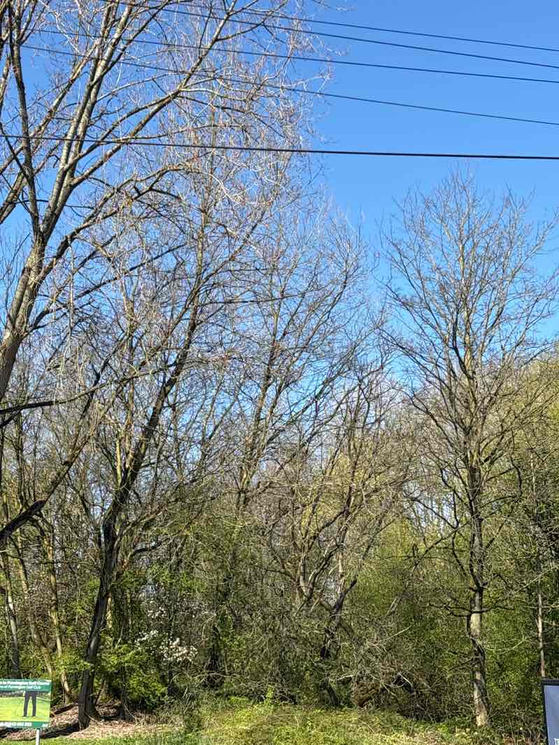 walking near me in Pennington Flash in spring