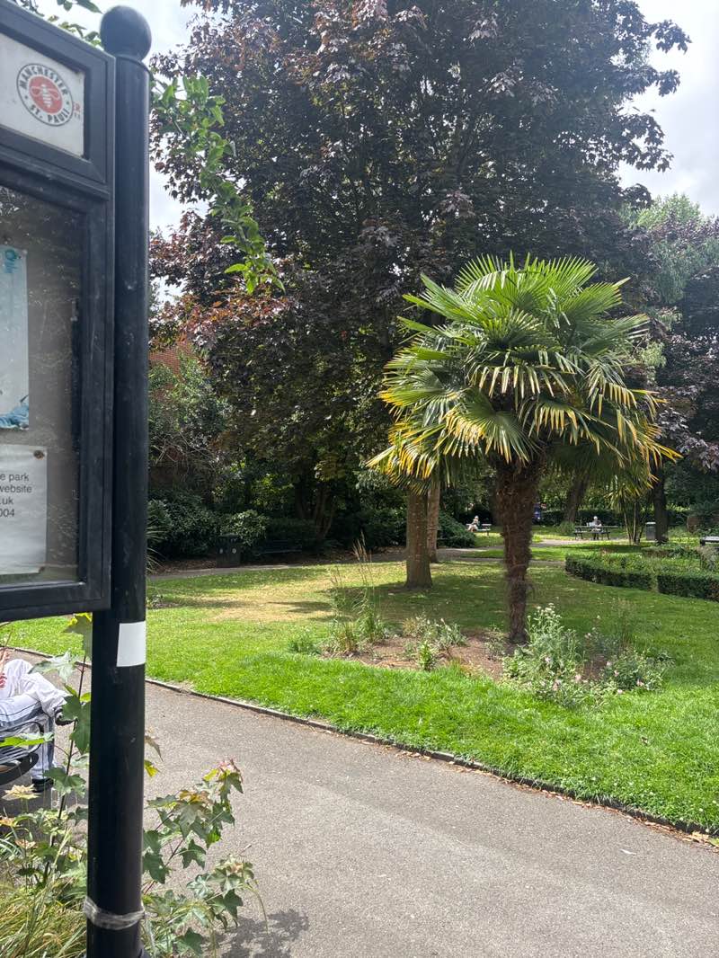 walking near me in St John's Gardens in summer