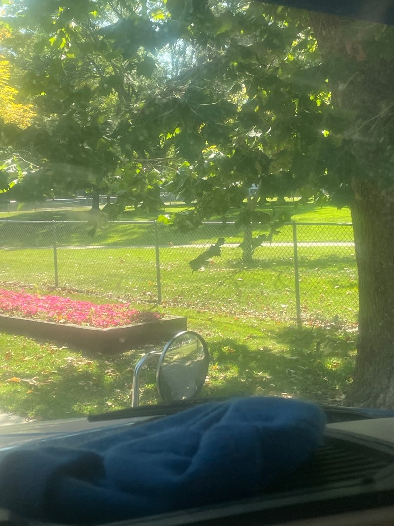 walking near me in La Crone Park in autumn