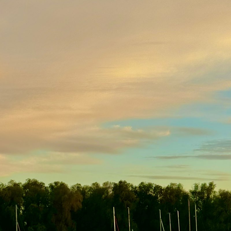 MayStep Marina Shalyapina post image