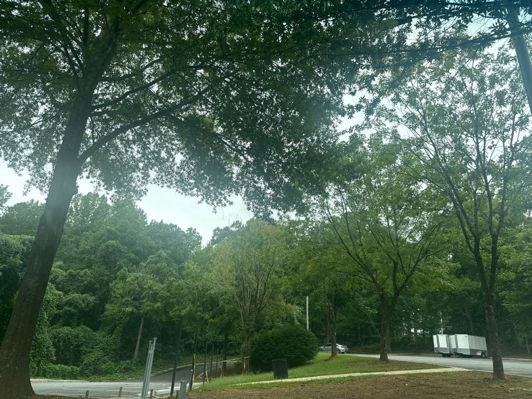 walking near me in Trammel Crow Park in autumn