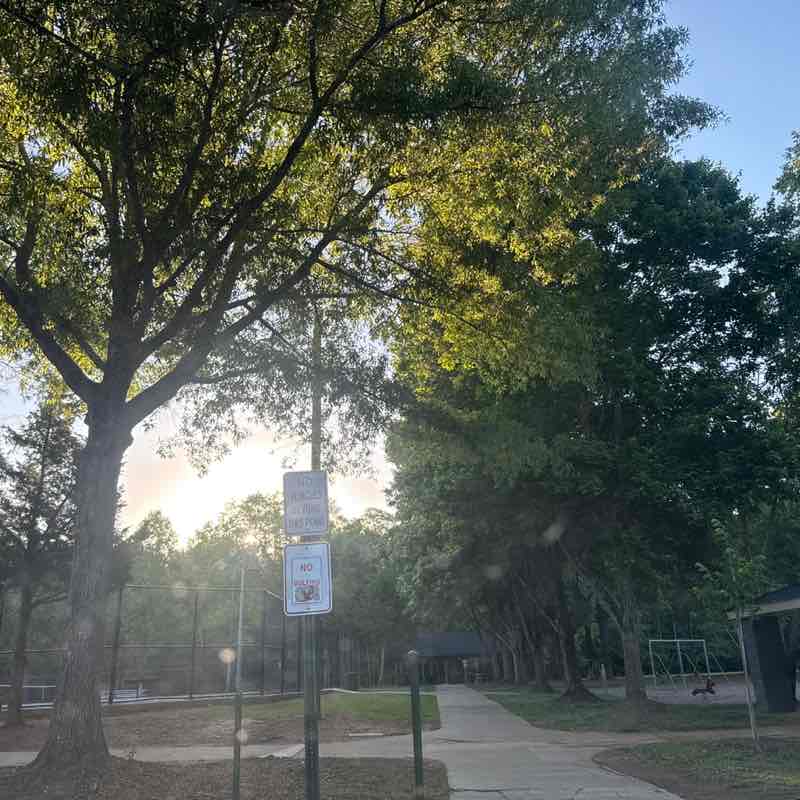 nydia.murray post 1