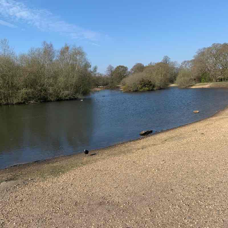 Sexy Temptress post 2