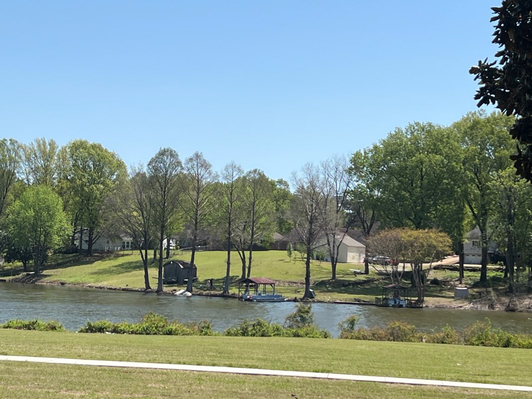 walking near me in Greenbrook Lake Park in spring