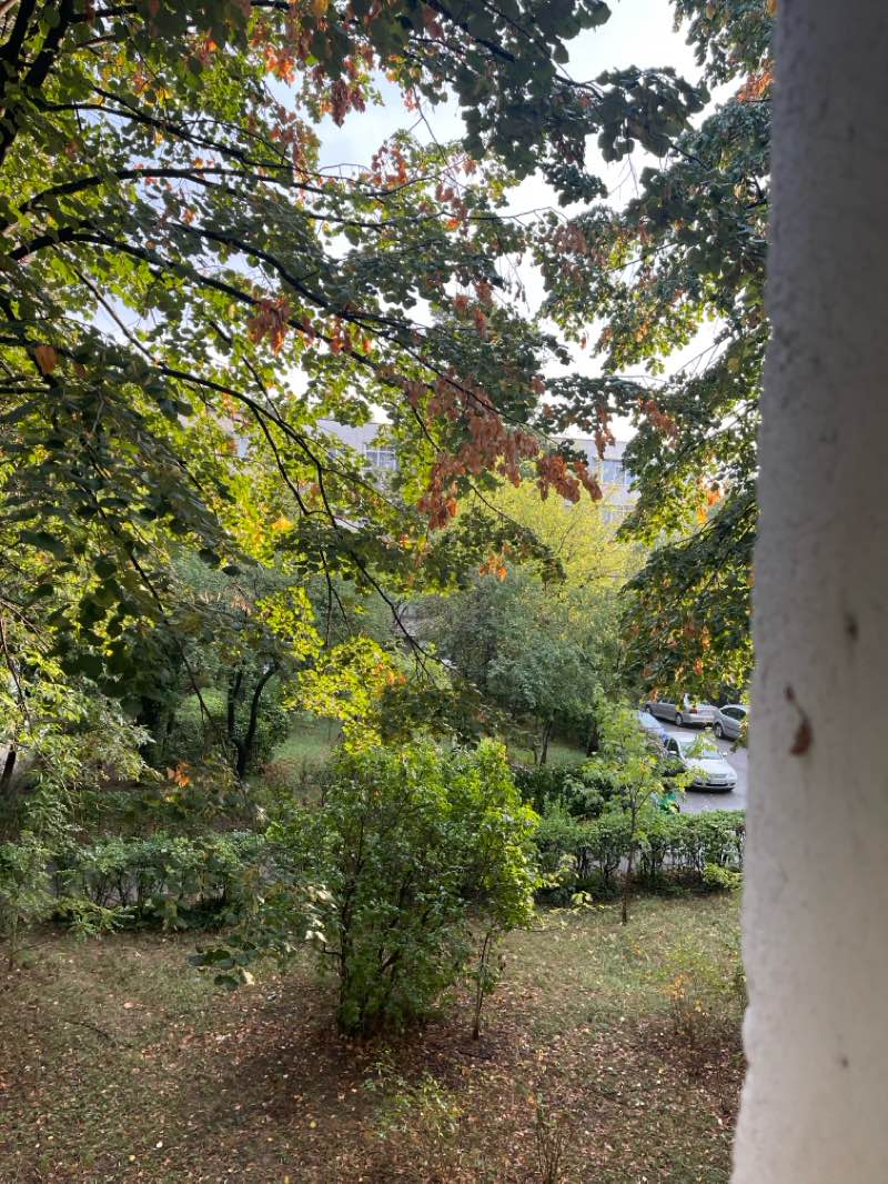 walking near me in Parc Nord in winter