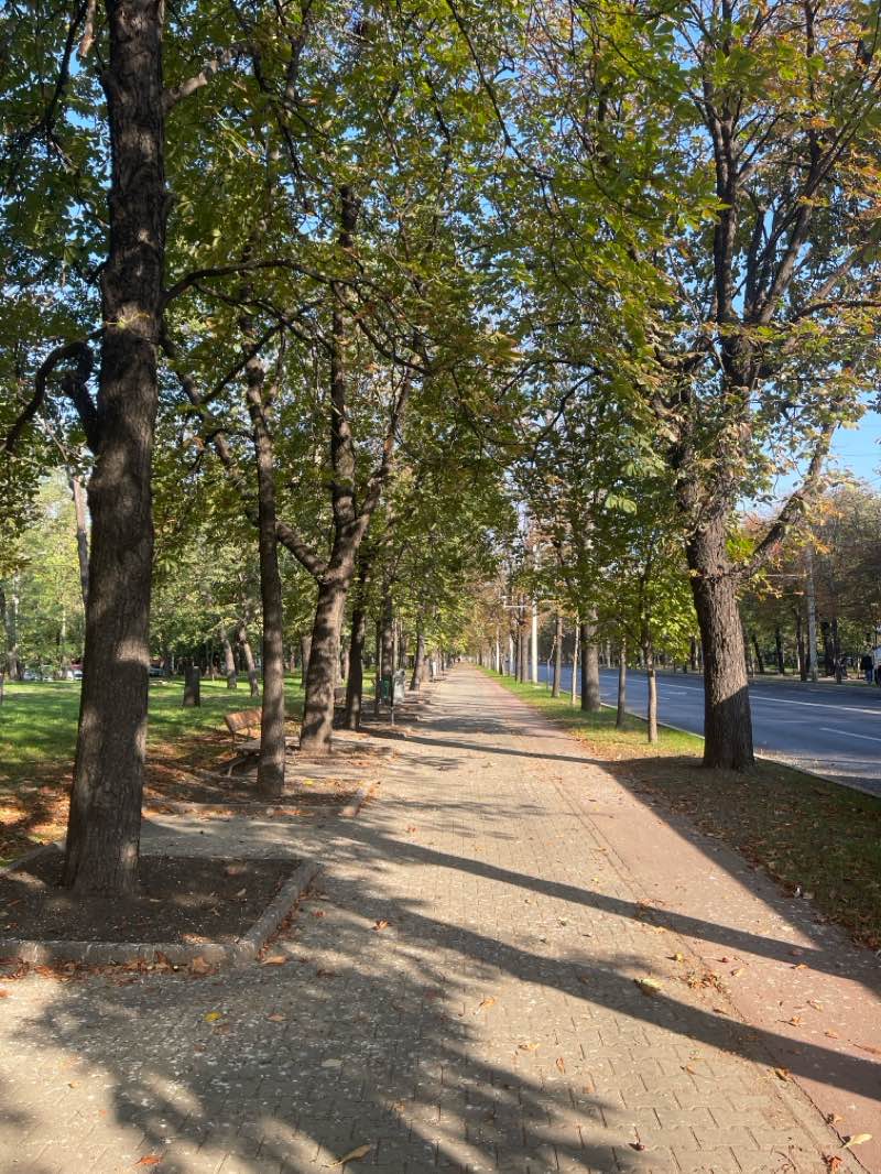 walking near me in Piața Prof. Arh. Toma T. Socolescu in winter