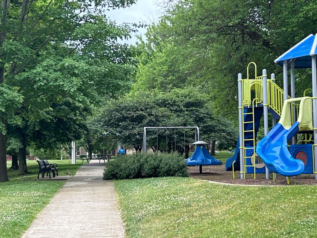 walking near me in Washburn Park in summer