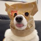 地瓜瓜瓜瓜_