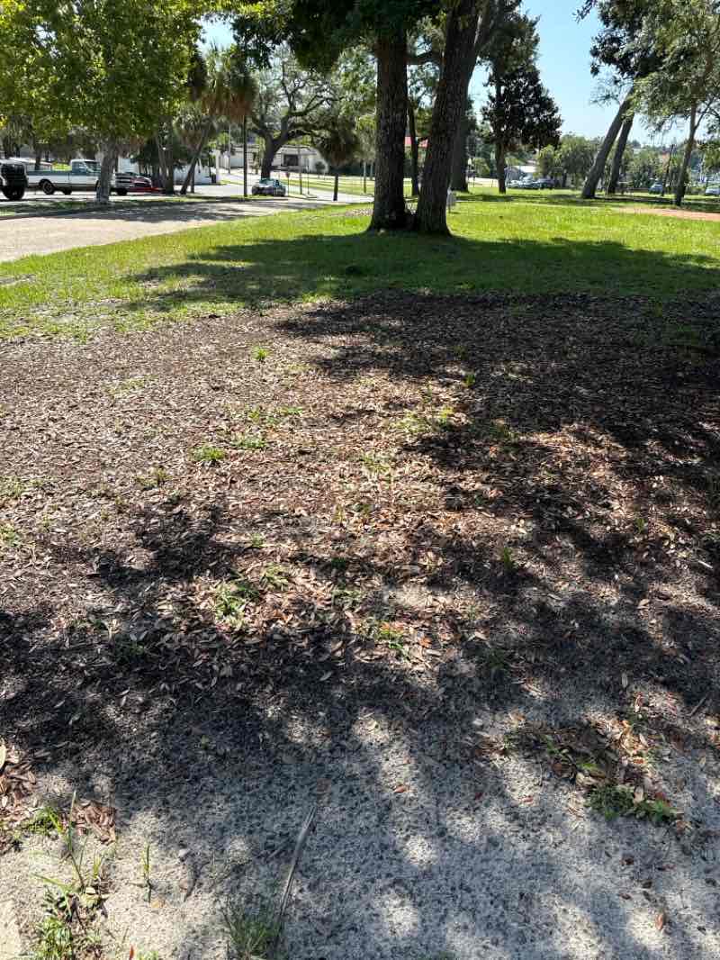 walking near me in McKenzie Park in autumn