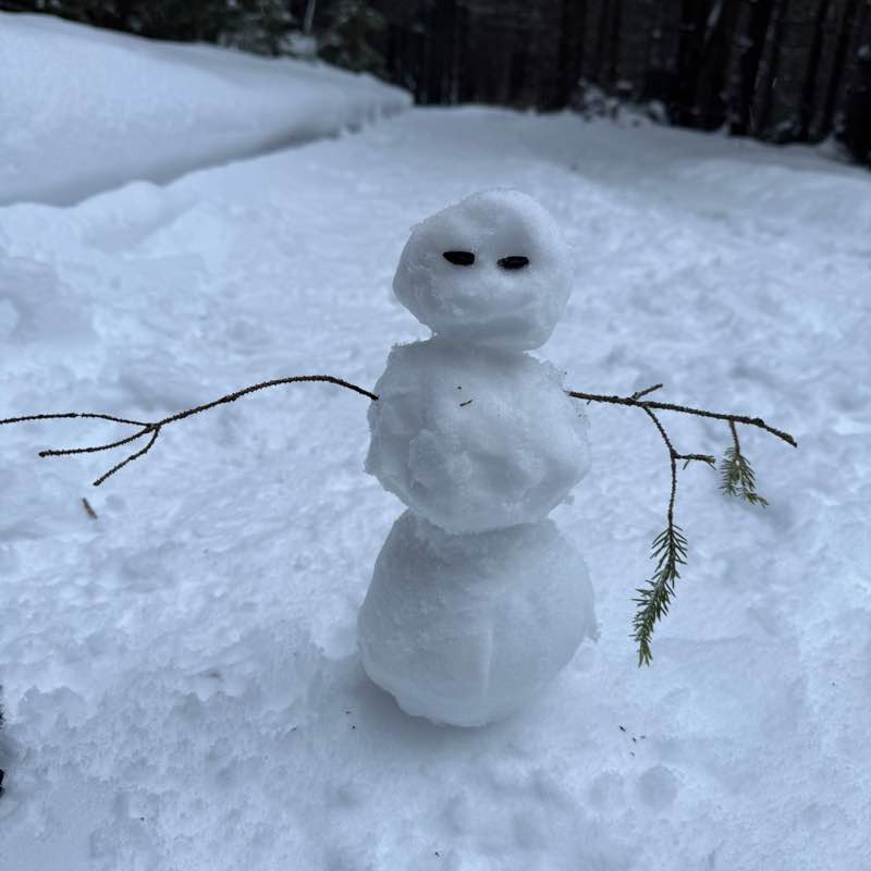 2025Бродяги365 Танюша post image