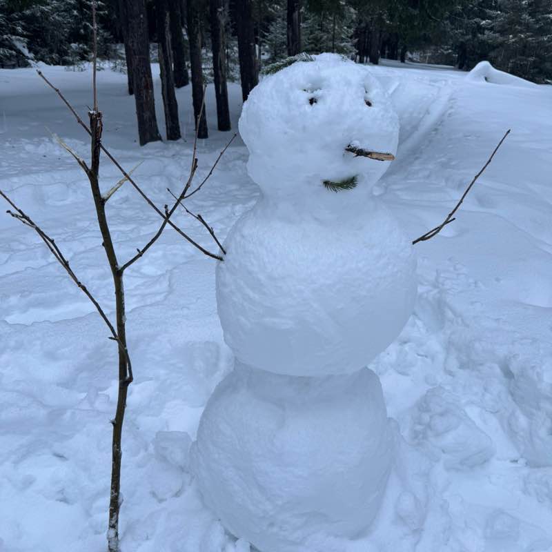 2025Бродяги365 Танюша post image