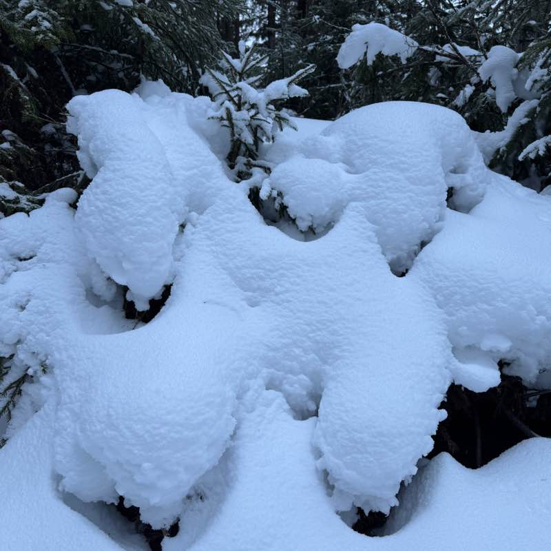 2025Бродяги365 Танюша post image