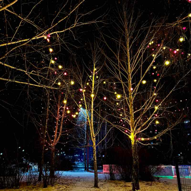 2025Бродяги365 Танюша post image