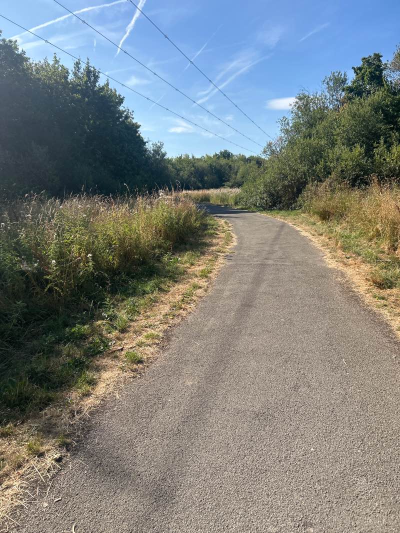 walking near me in Broomhill Park in summer