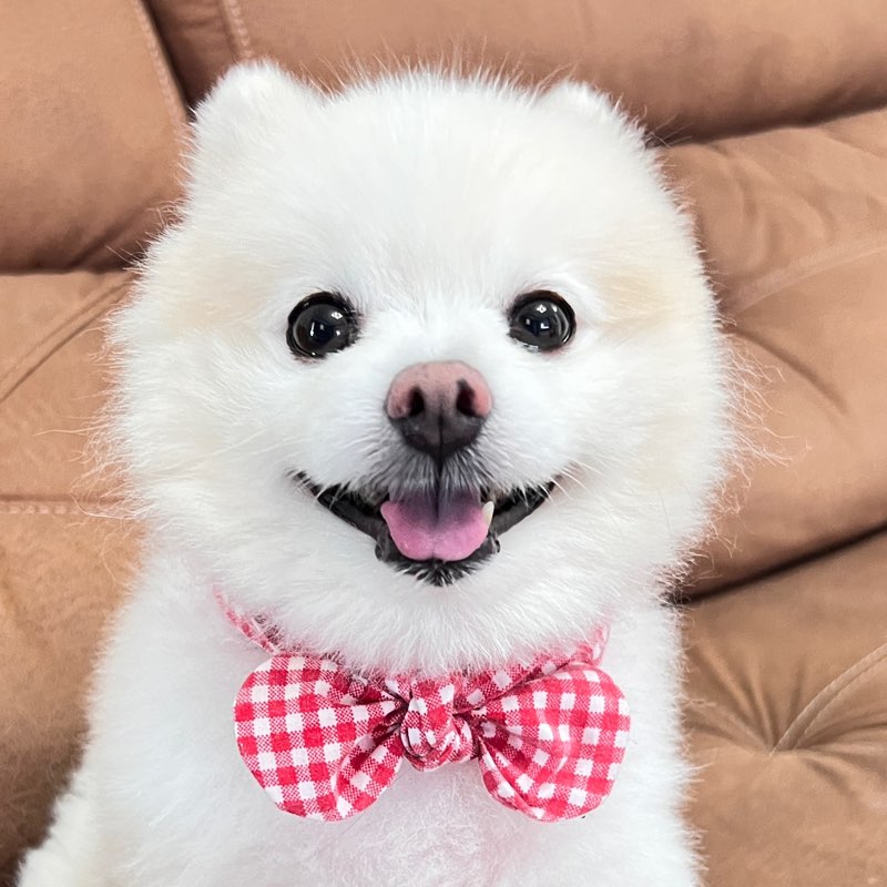 Jutatip Intano profile