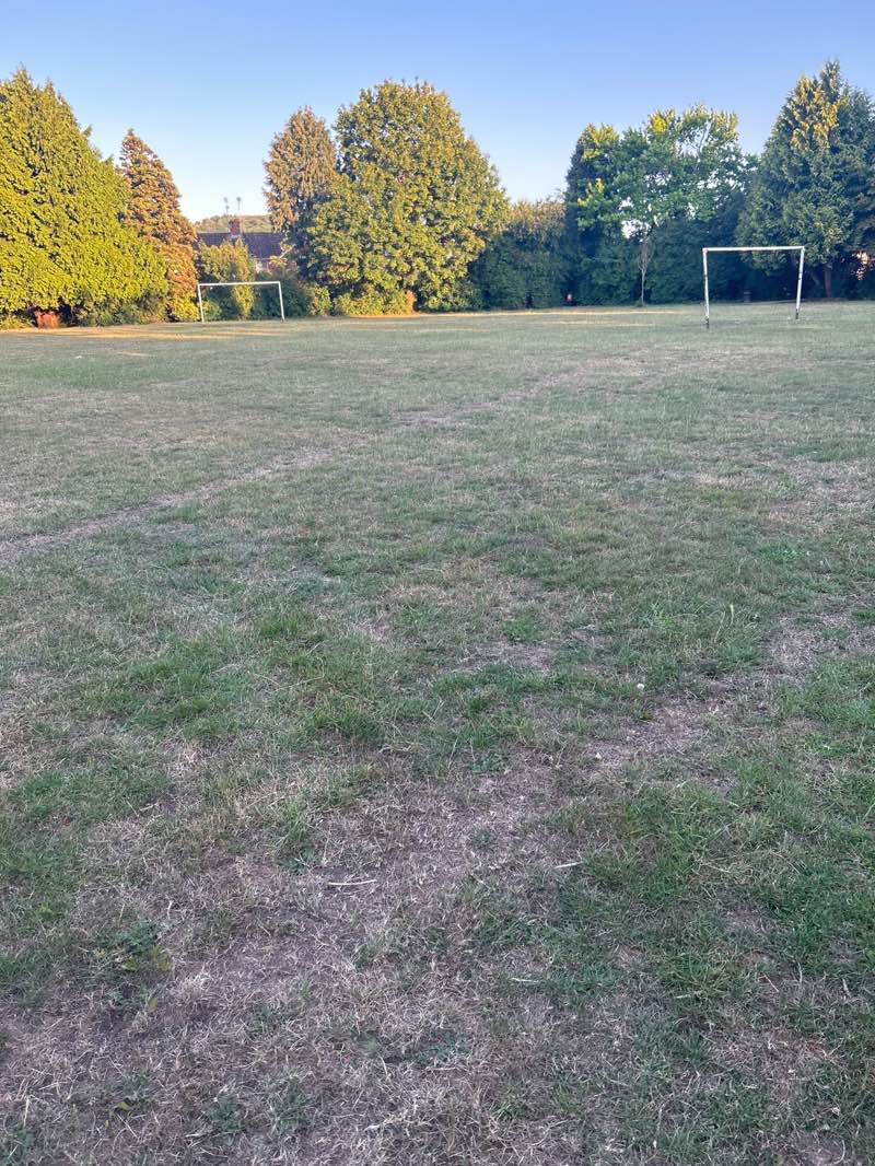 walking near me in The Oval in summer