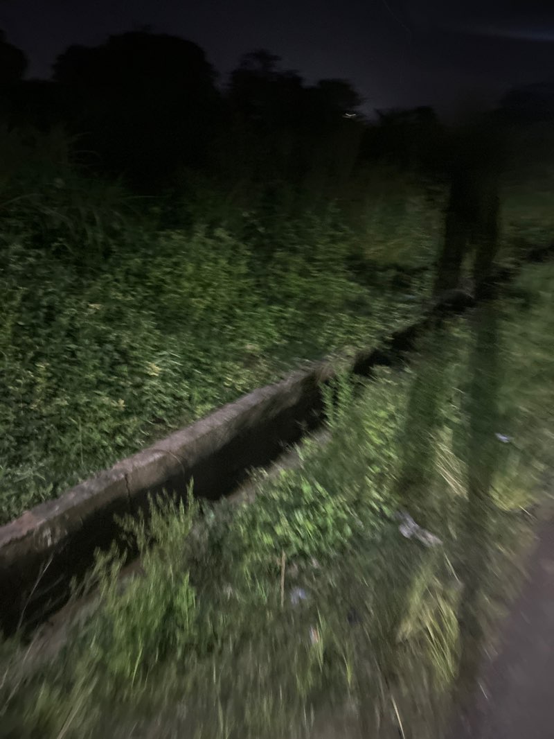 walking near me in Police Parade Grounds in autumn