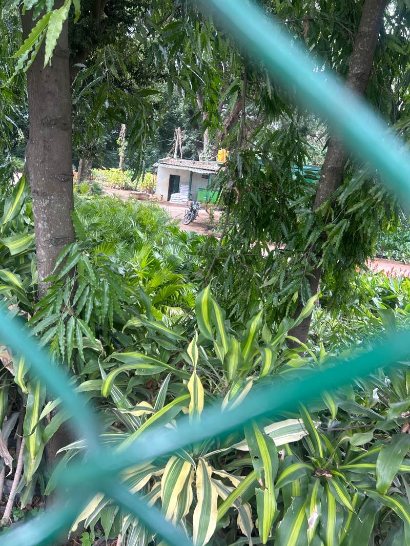 walking near me in Vishnuvardhan Park in summer