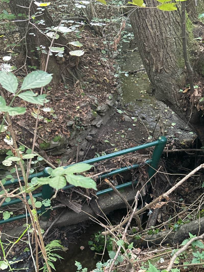 walking near me in Parco pubblico Villa Conelli in winter