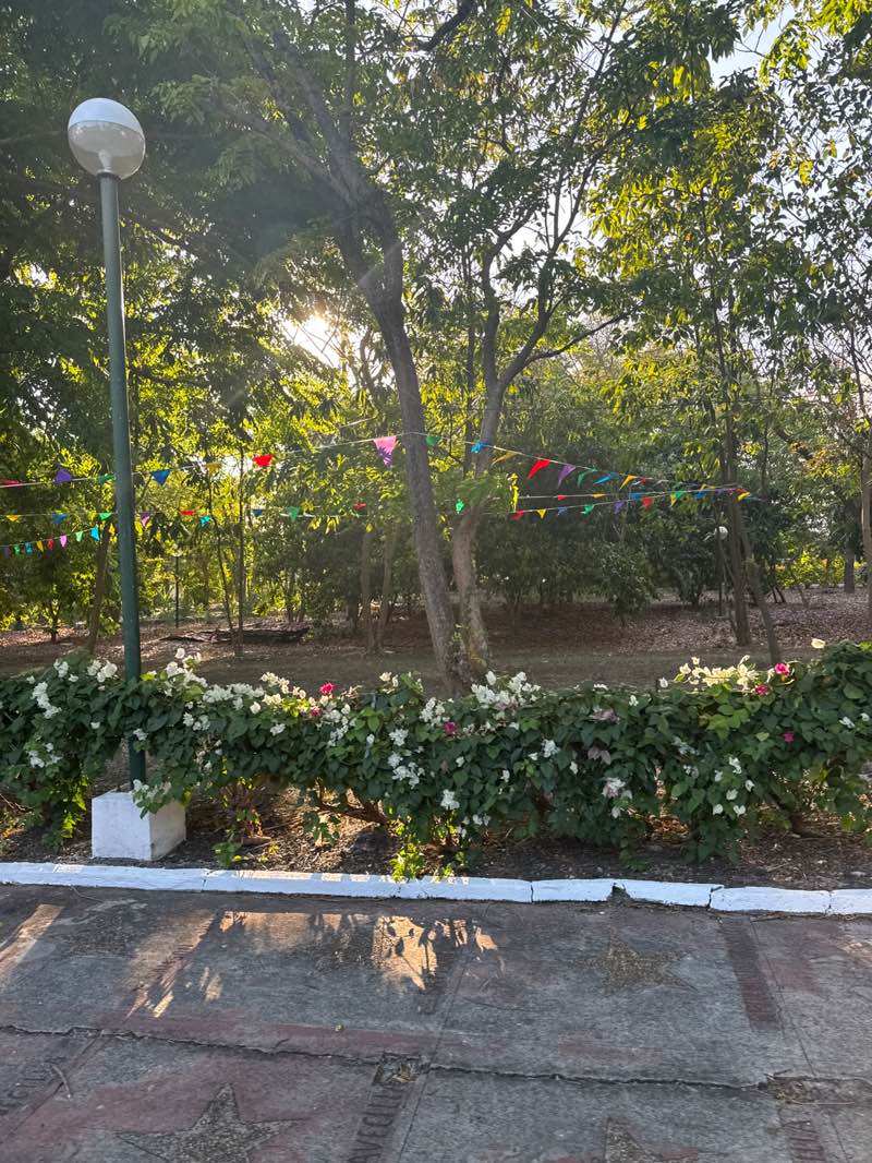 walking near me in Marcelo Green Village Phase 4 Park in spring