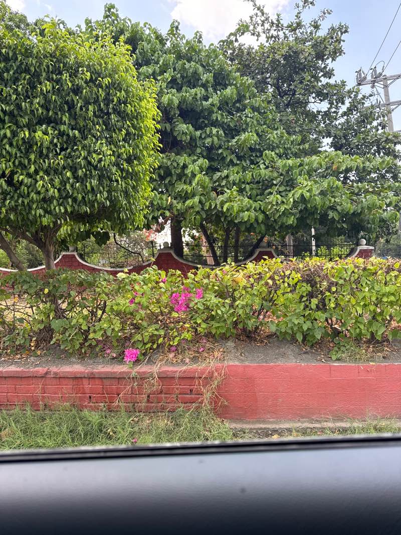 walking near me in Old Nayong Pilipino in spring