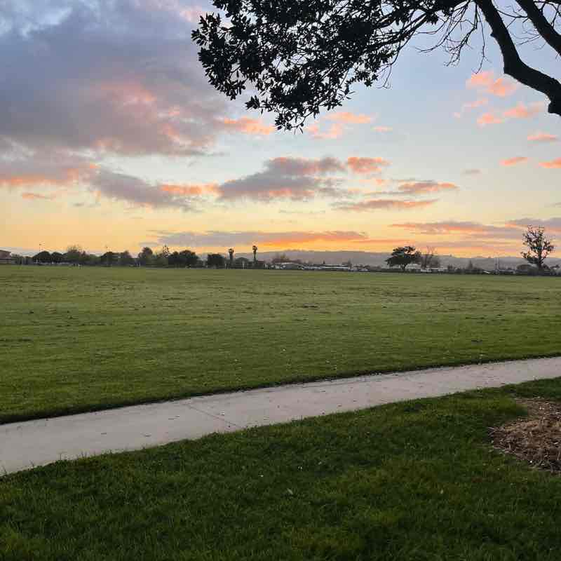 Cilla 🌻🌺 post 2