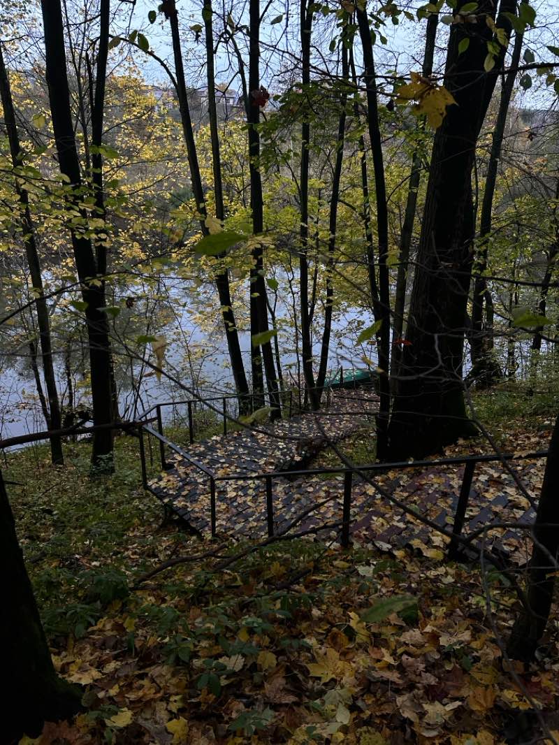 walking near me in Усадьба "Богородское" in winter
