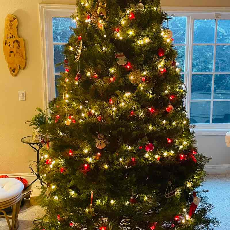 minnie.nguyen post 1