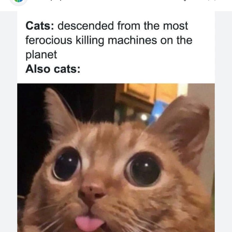 laxonlaxoff555 post 1