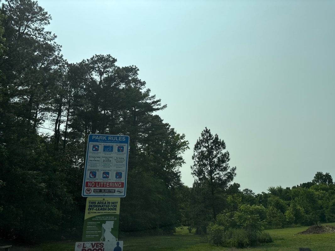 walking near me in Bandy Field Nature Park in summer
