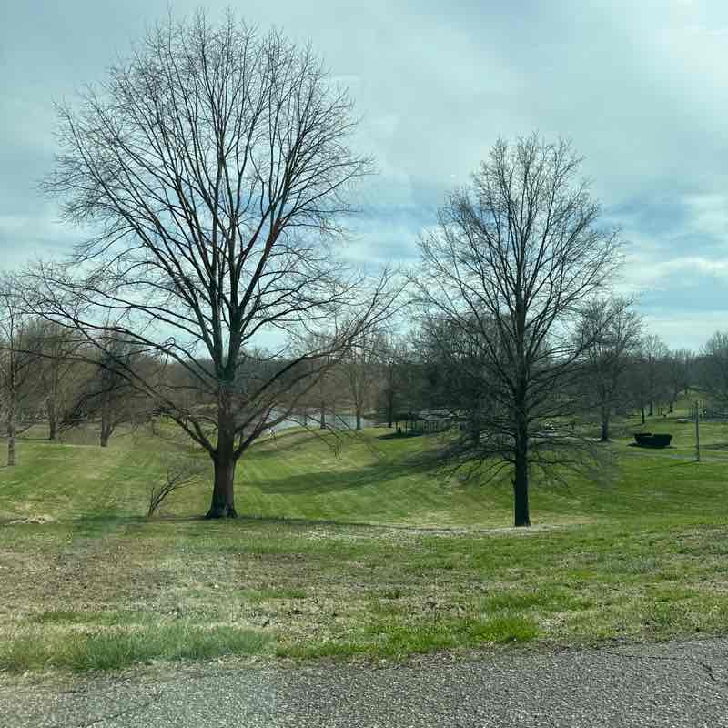 Dezaray McDonald post 1