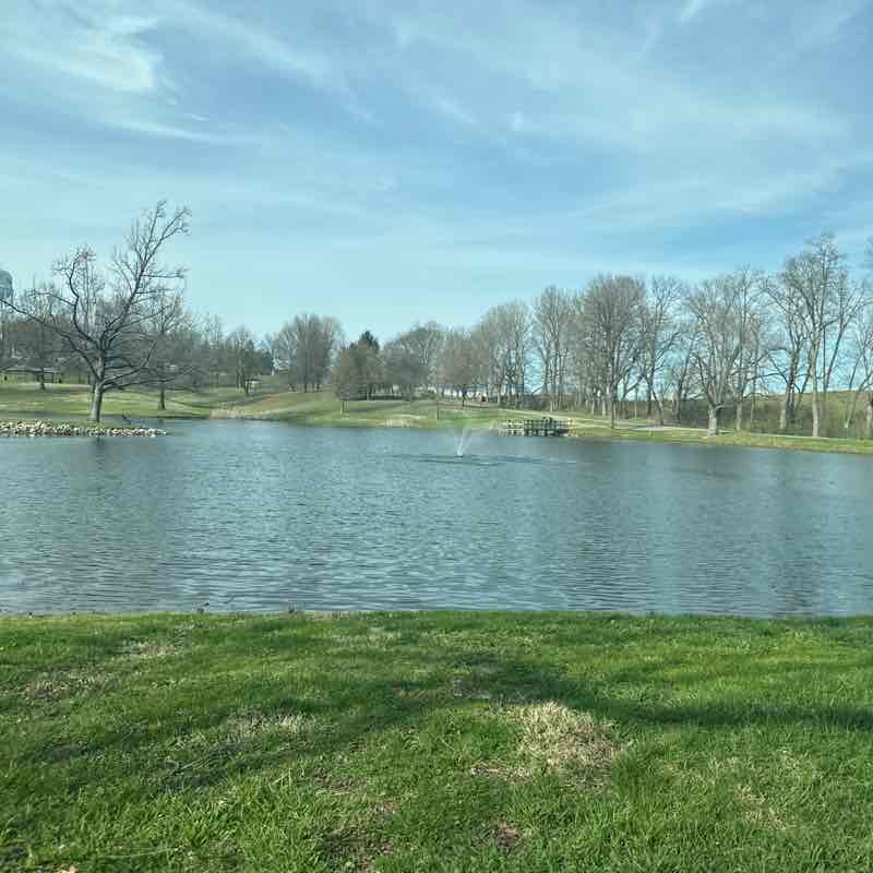 Dezaray McDonald post 1