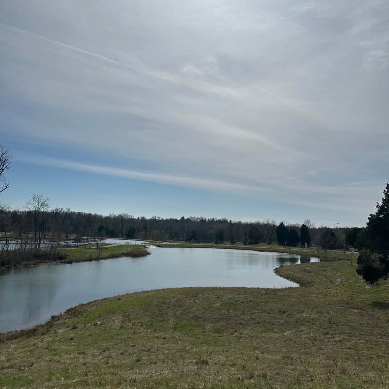 Dezaray McDonald post 1