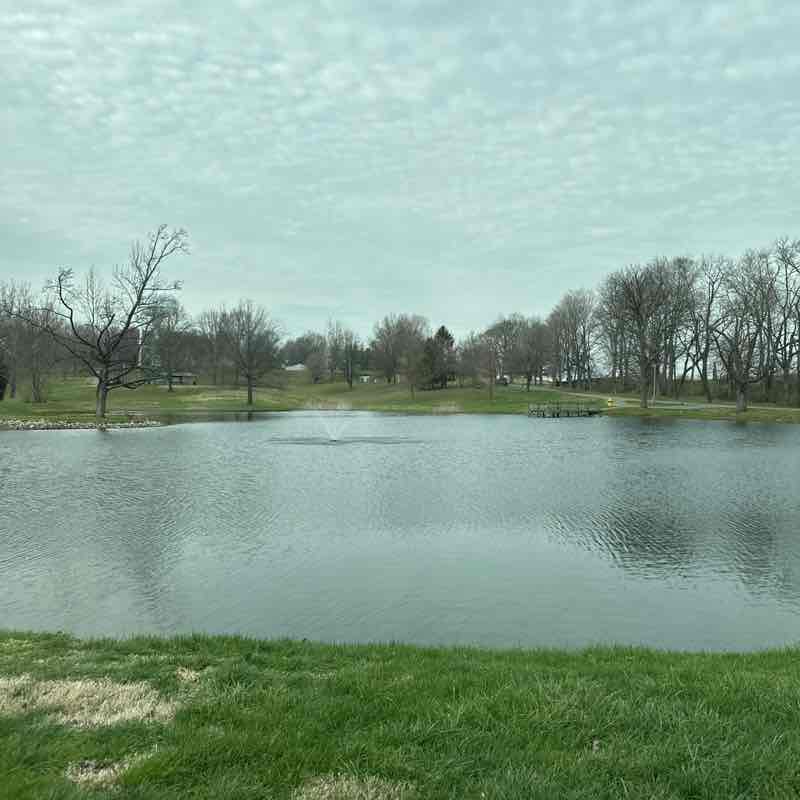 Dezaray McDonald post 1