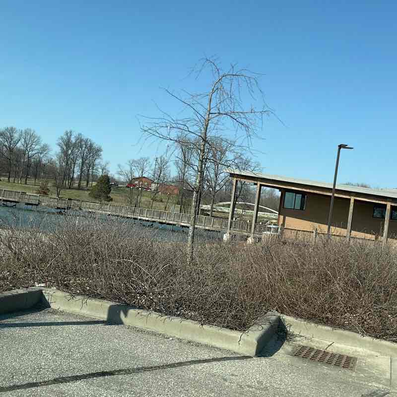 Dezaray McDonald post 1