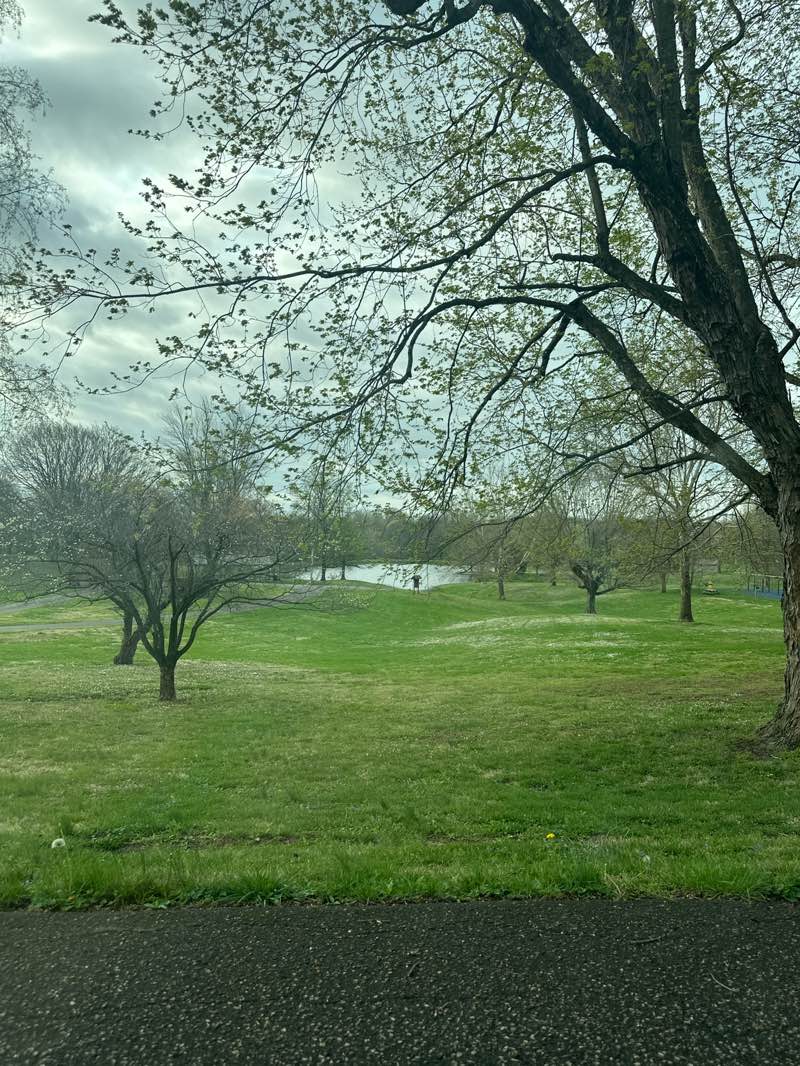 walking near me in Hornady Park in spring