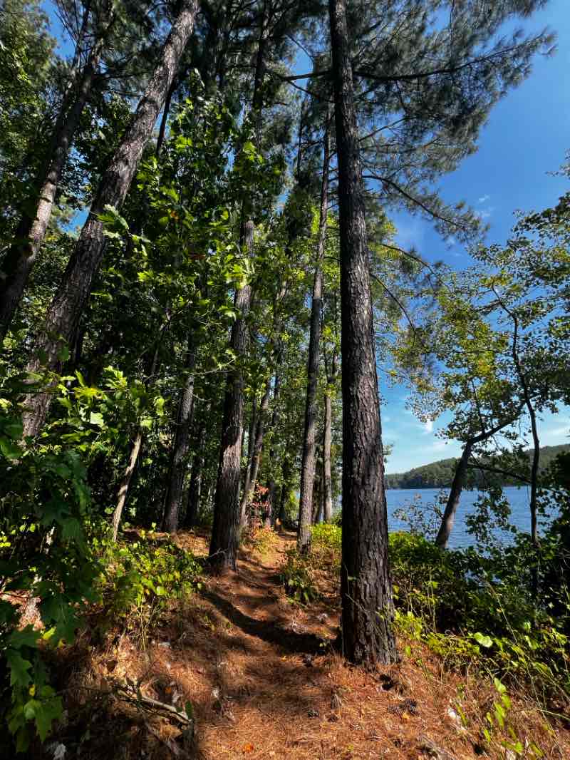 walking near me in Liberty Reservoir Cooperative Wildlife Management Area in winter