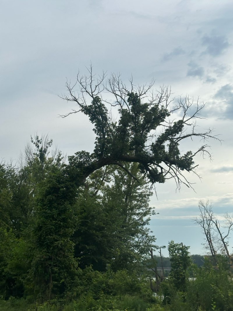 walking near me in Veteran's Memorial Park in autumn