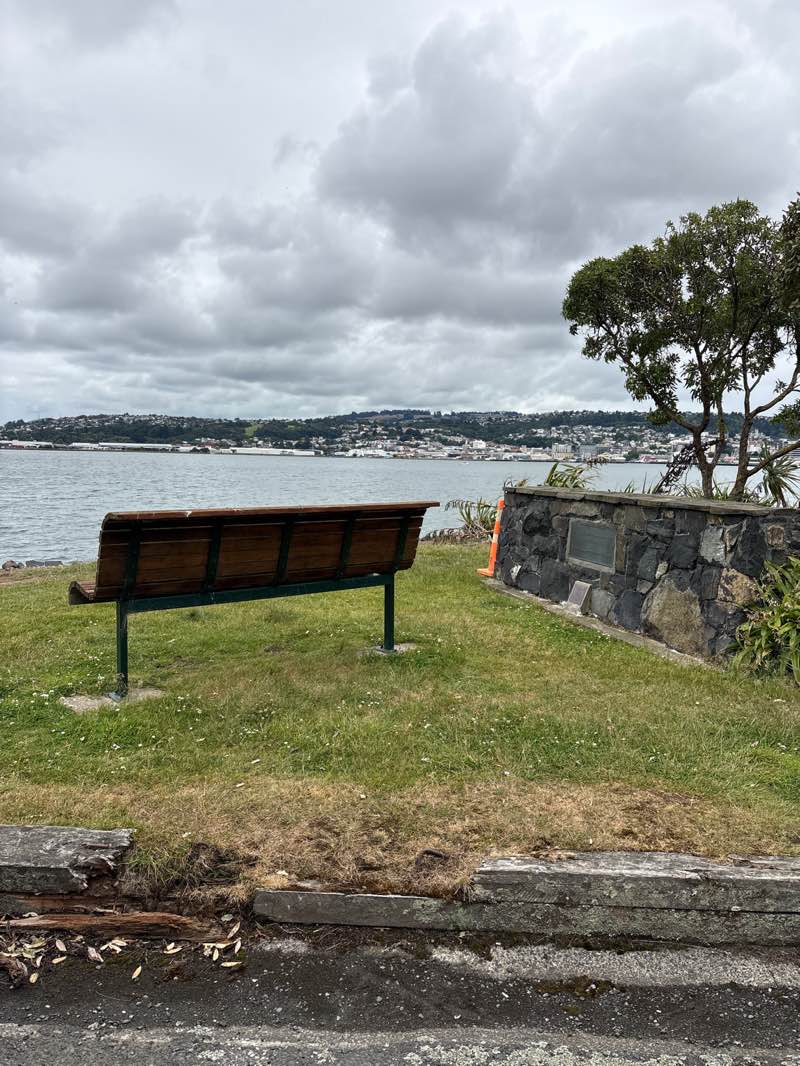walking near me in Vauxhall Reserve in summer