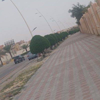 Only Walk🏃🏻‍♂️🏃🏃‍♀️🚶🏼 Abu Tala post image