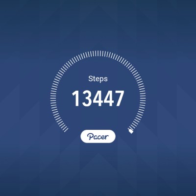 UAE PACER CLUB Abu Tala post image