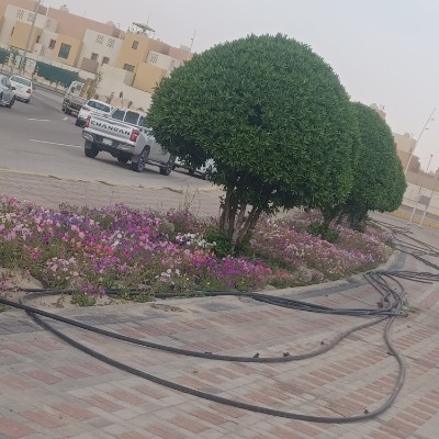 مشاة الباحر 🏃‍♀️ Abu Tala post image