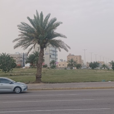 مشاة الباحر 🏃‍♀️ Abu Tala post image