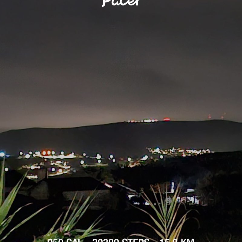 Walk Briskly for Your Health Cattitude post image