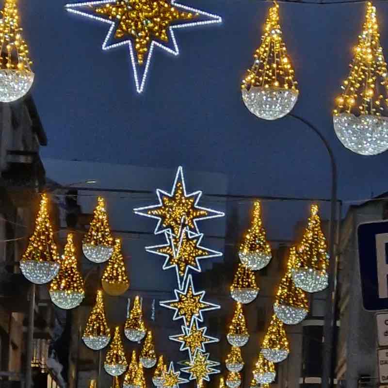 The Beautiful Souls💕 Cattitude post image